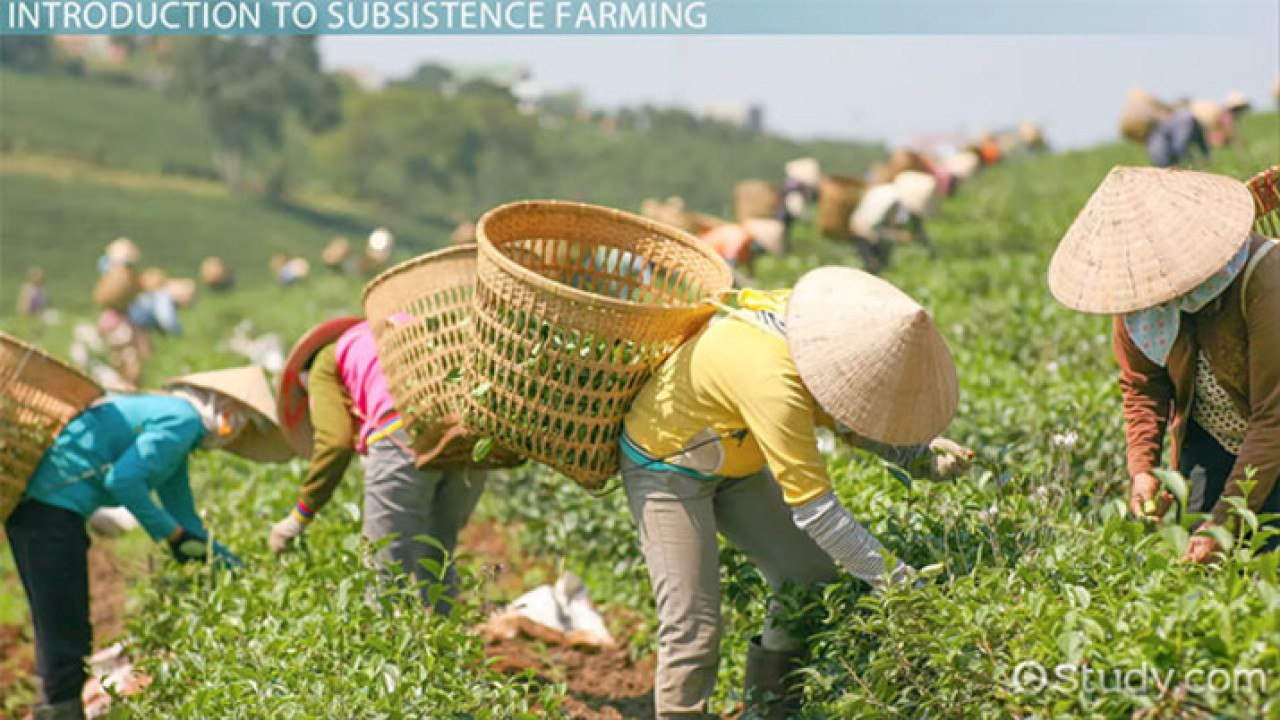 Principles of Organic Farming
